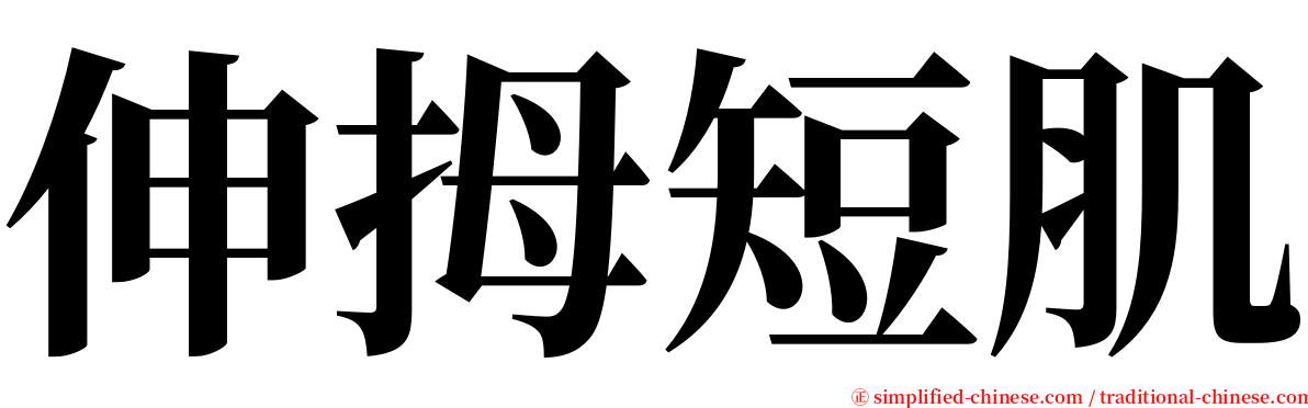 伸拇短肌 serif font