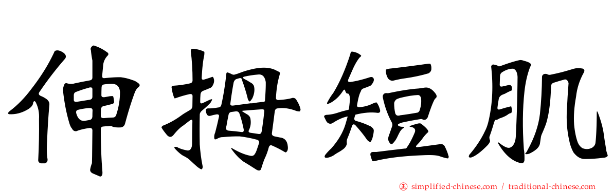 伸拇短肌
