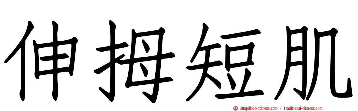 伸拇短肌