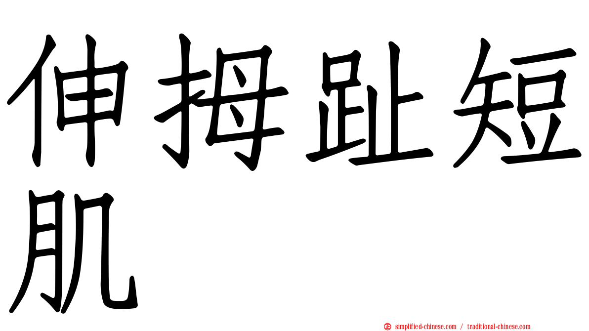 伸拇趾短肌
