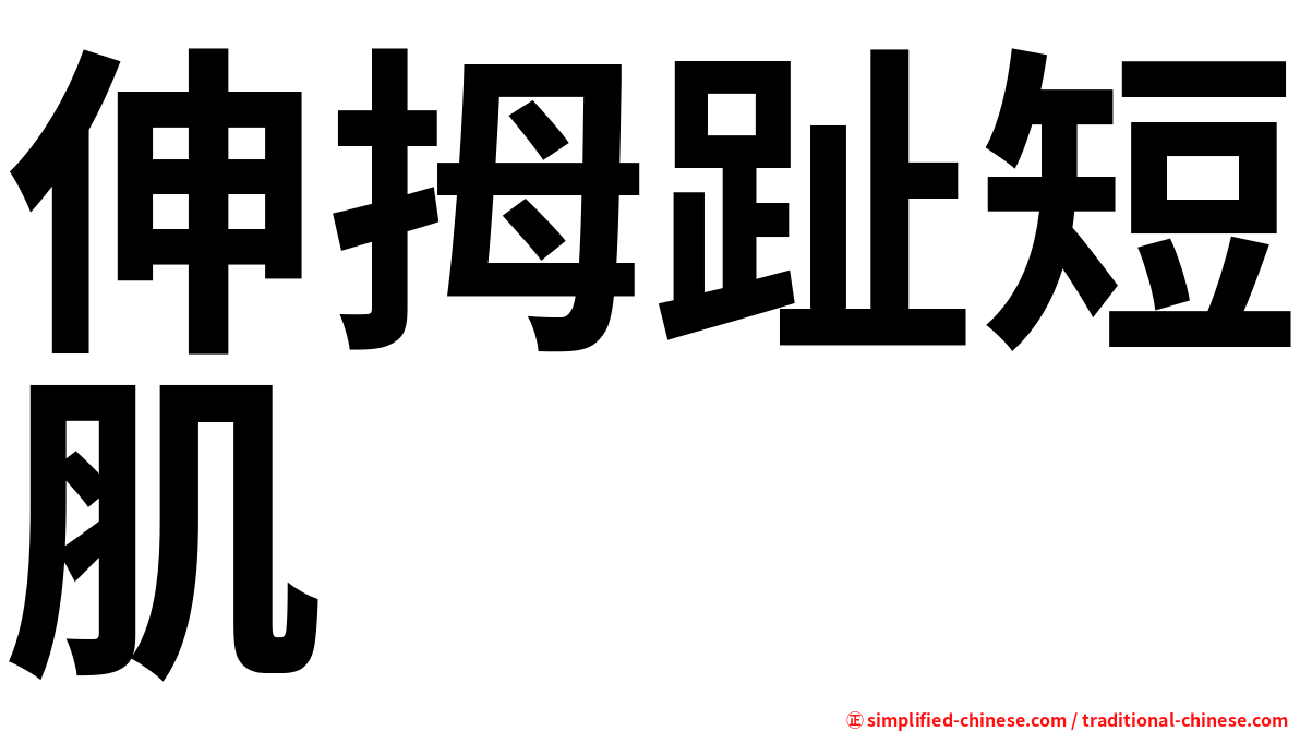 伸拇趾短肌