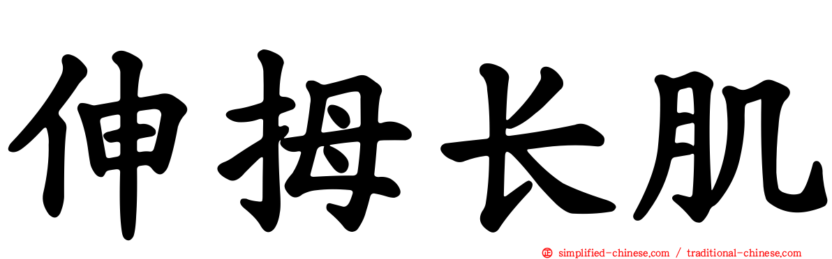 伸拇长肌