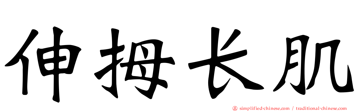 伸拇长肌