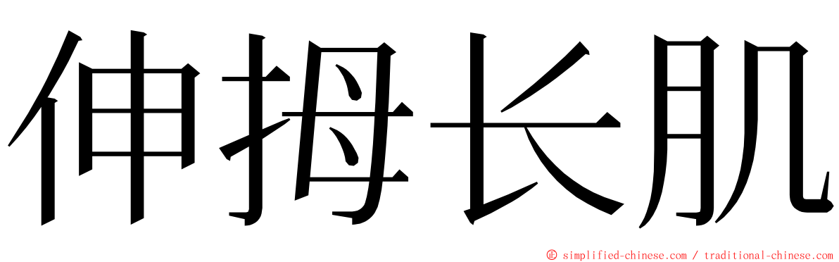 伸拇长肌 ming font