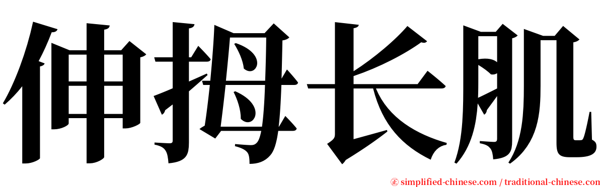 伸拇长肌 serif font
