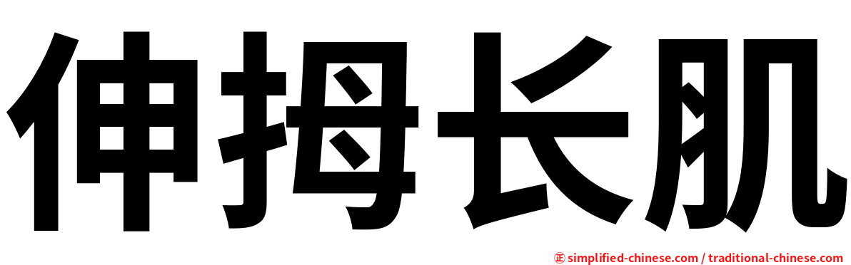 伸拇长肌