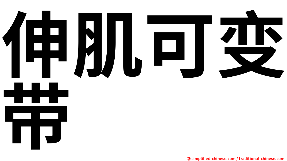 伸肌可变带