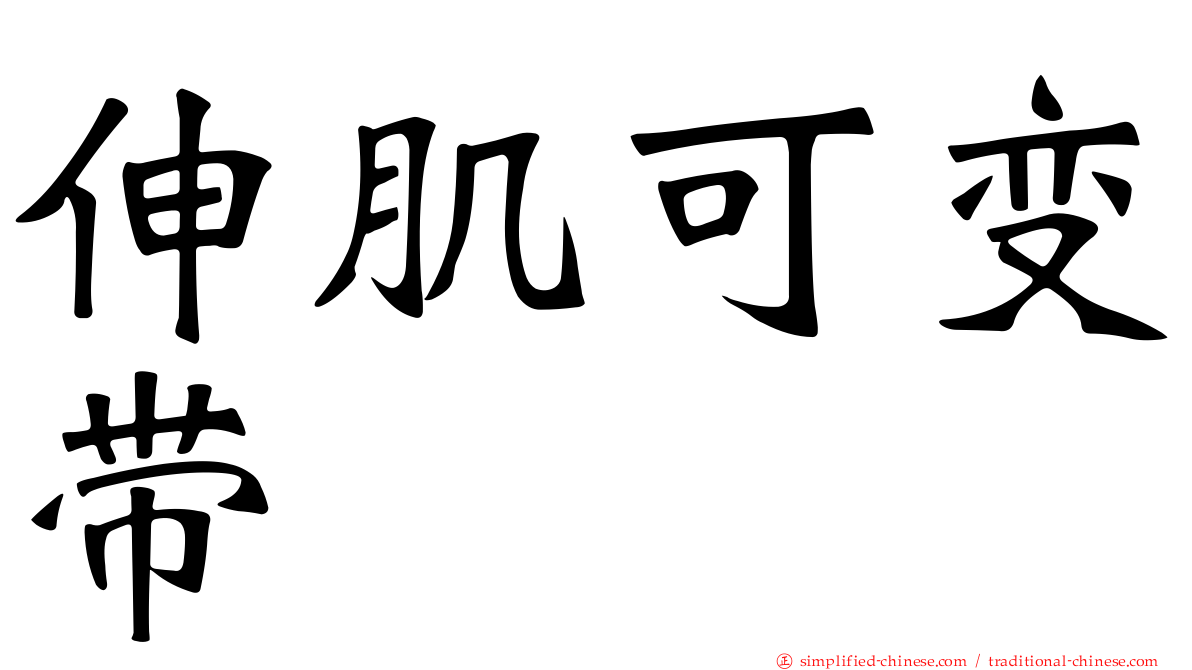 伸肌可变带