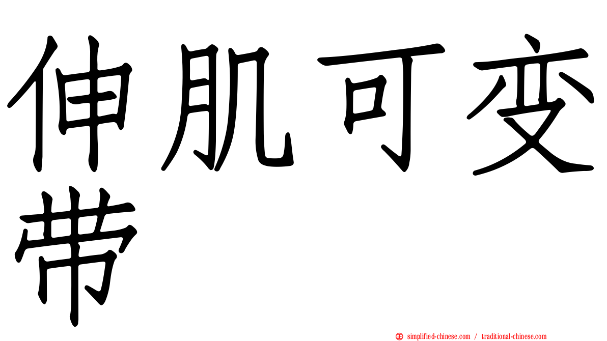 伸肌可变带