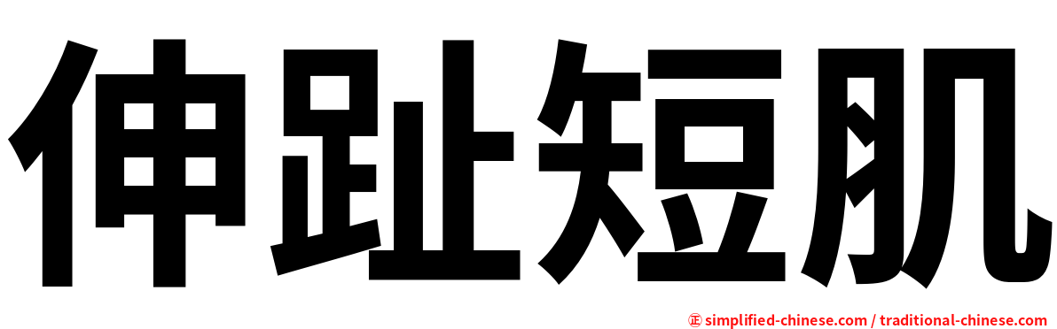 伸趾短肌