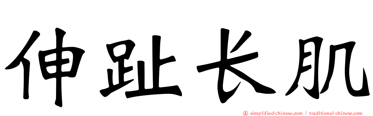 伸趾长肌