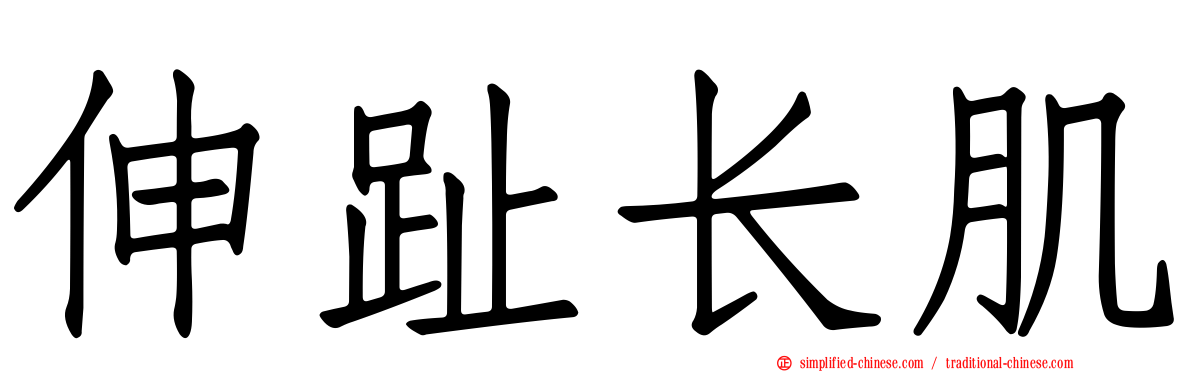 伸趾长肌