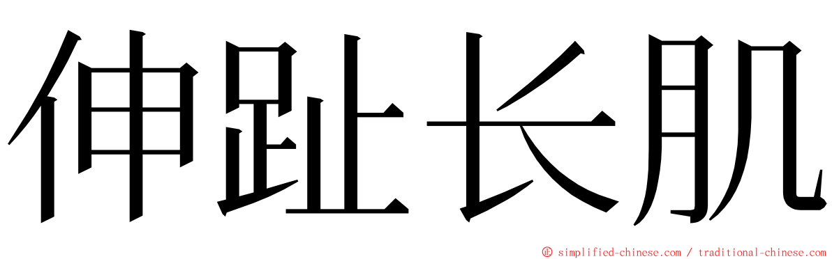 伸趾长肌 ming font