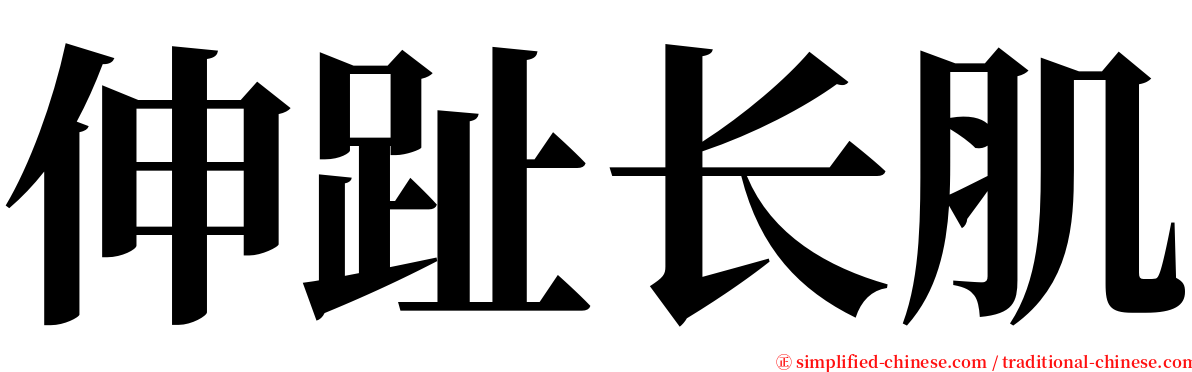 伸趾长肌 serif font