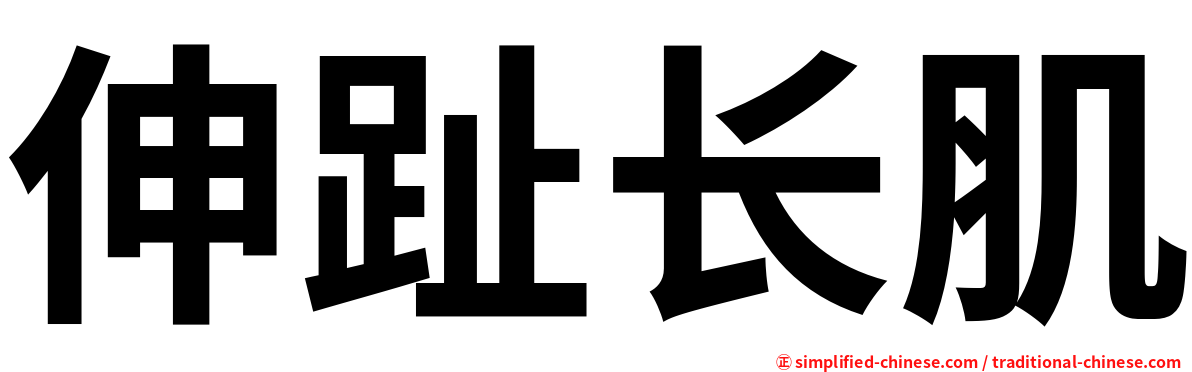 伸趾长肌