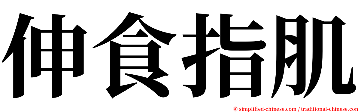 伸食指肌 serif font