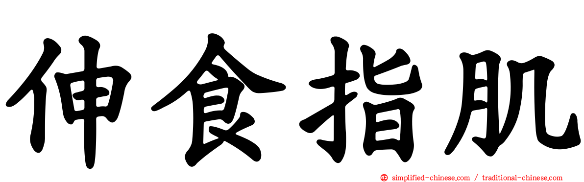 伸食指肌