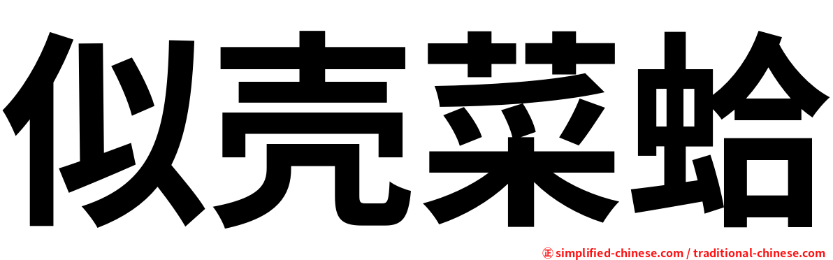 似壳菜蛤
