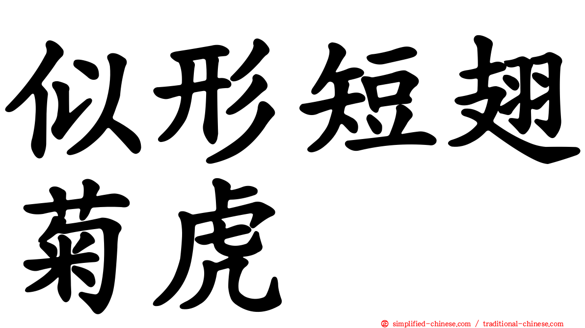 似形短翅菊虎