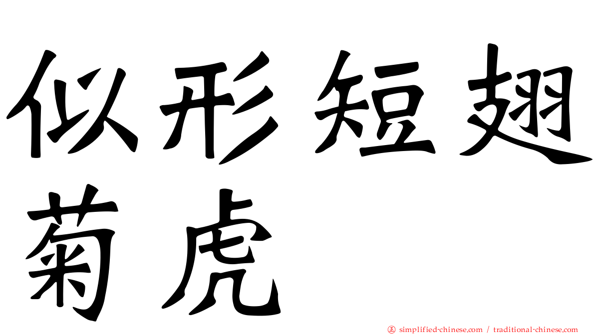 似形短翅菊虎