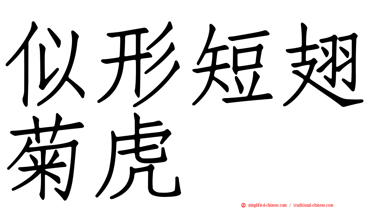似形短翅菊虎