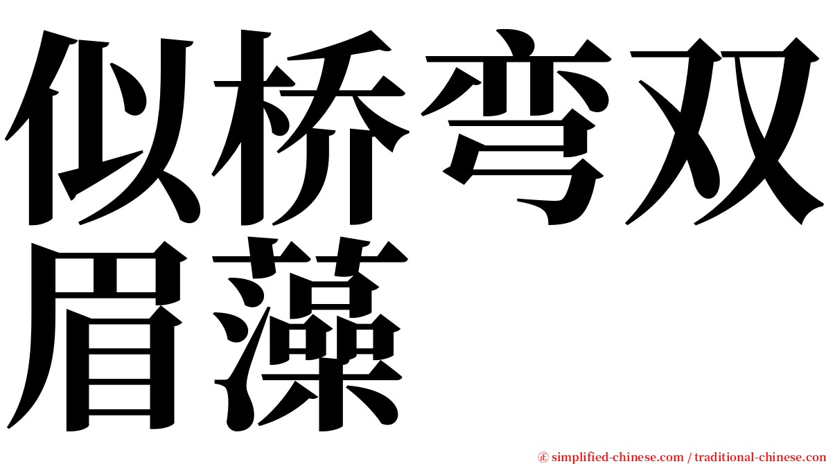 似桥弯双眉藻 serif font