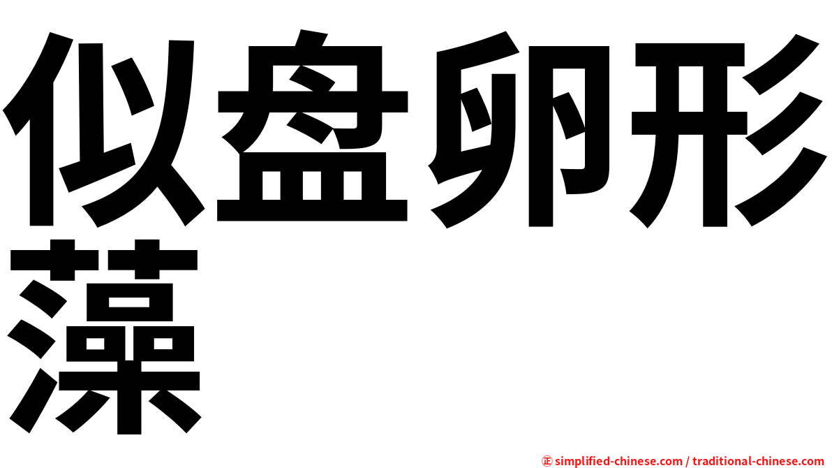 似盘卵形藻