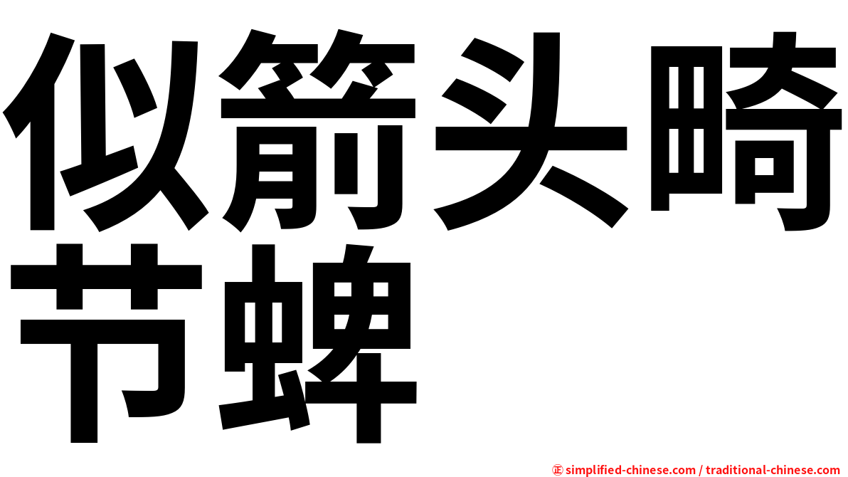似箭头畸节蜱