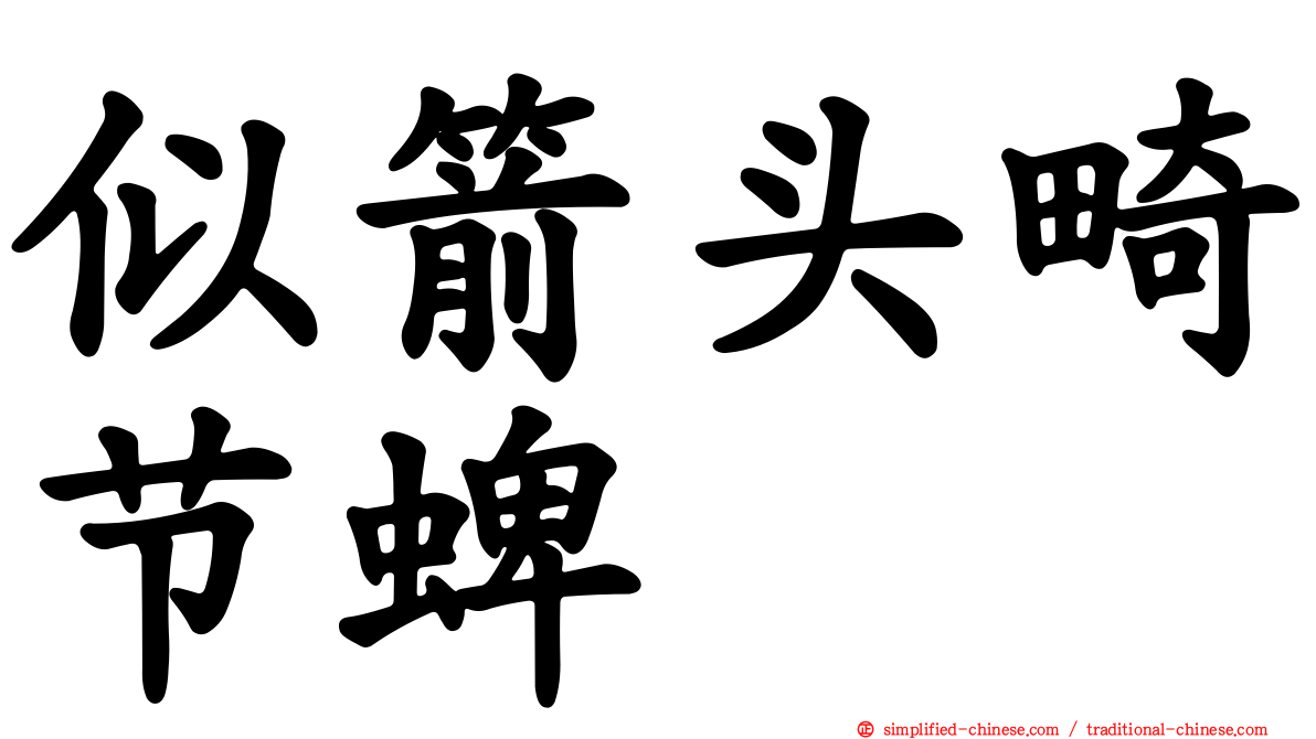 似箭头畸节蜱