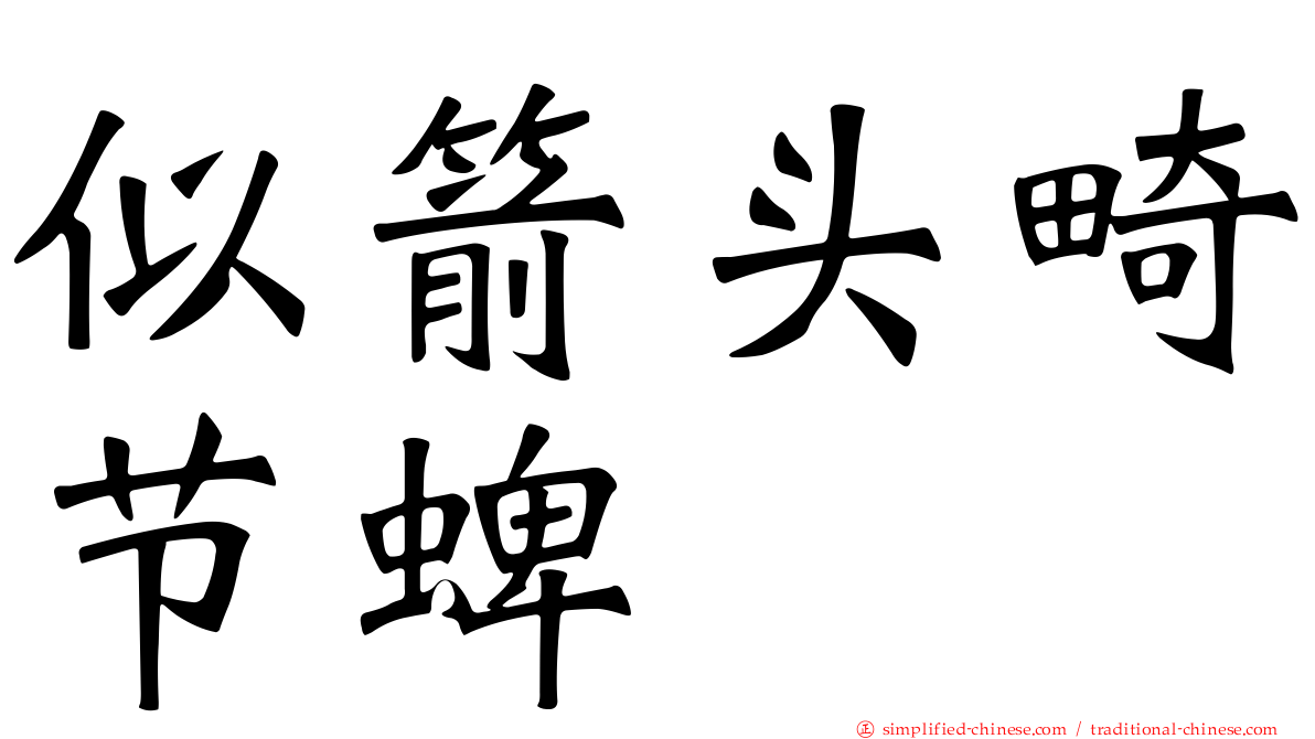 似箭头畸节蜱