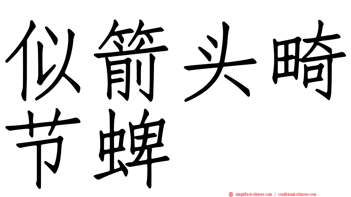 似箭头畸节蜱