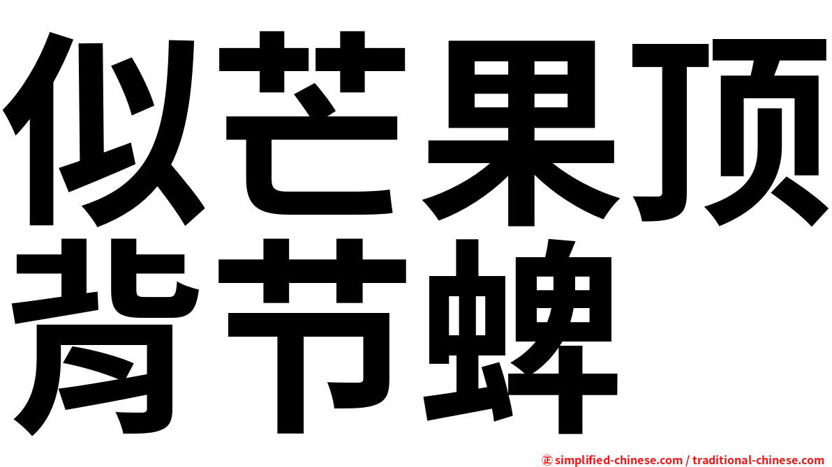 似芒果顶背节蜱