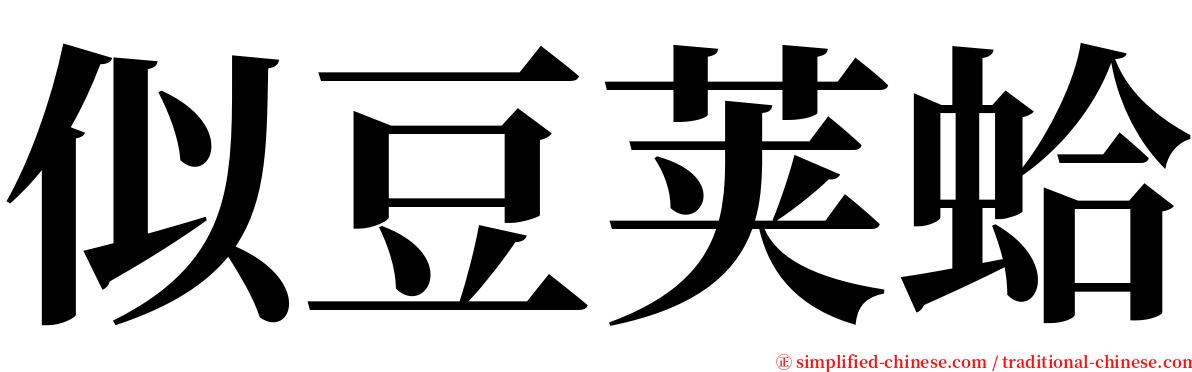 似豆荚蛤 serif font