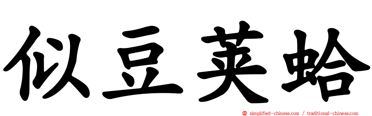 似豆荚蛤
