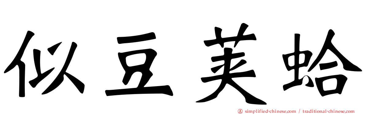 似豆荚蛤