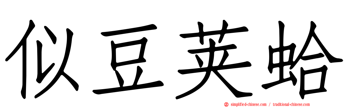 似豆荚蛤