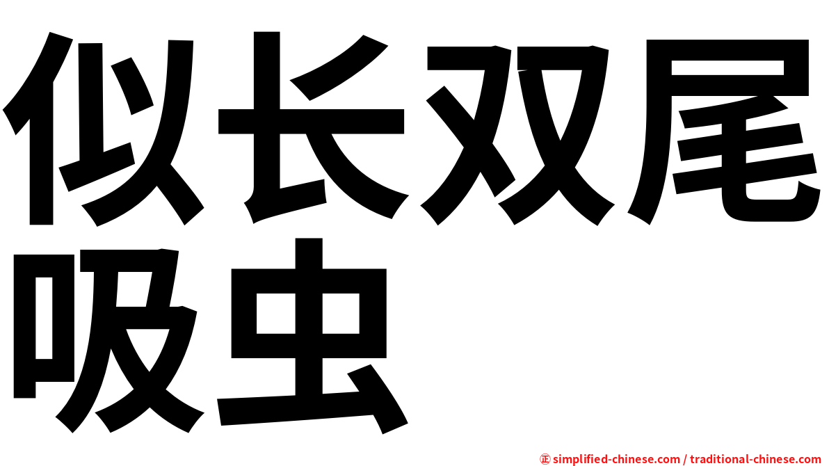 似长双尾吸虫