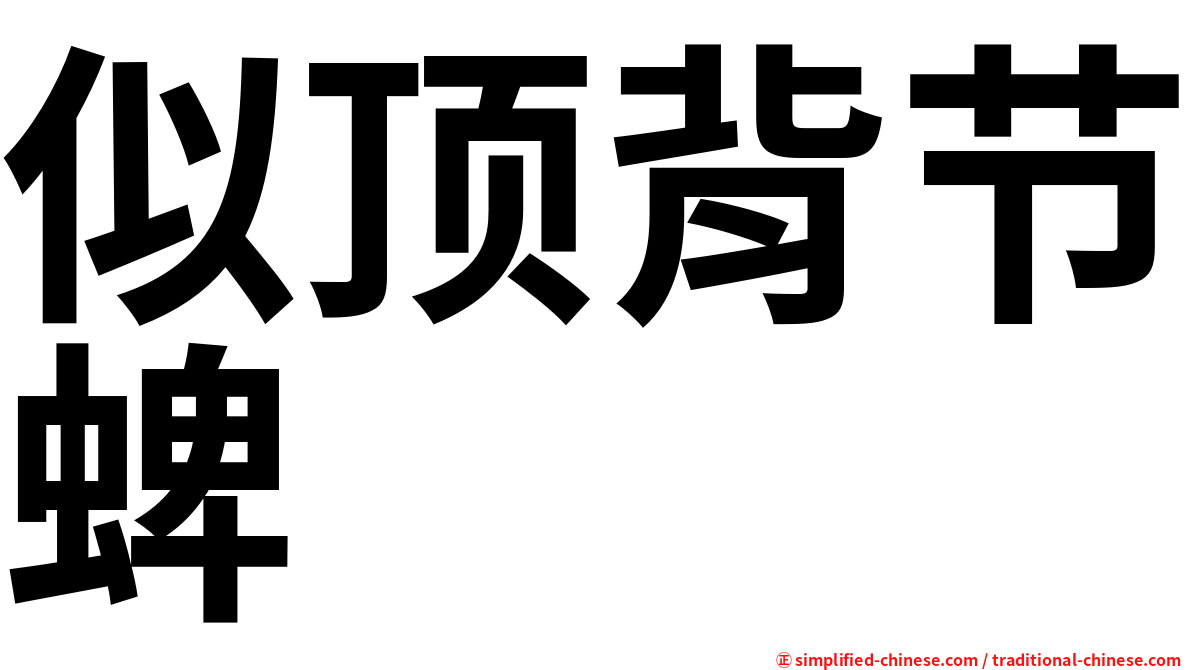 似顶背节蜱