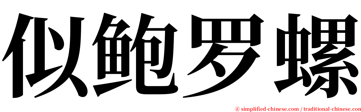 似鲍罗螺 serif font