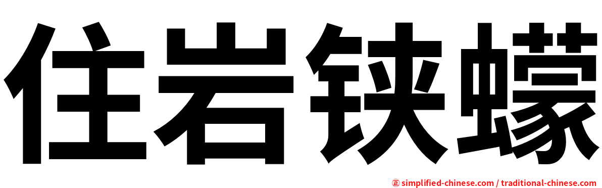 住岩铗蠓