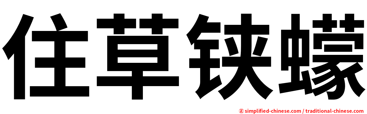 住草铗蠓