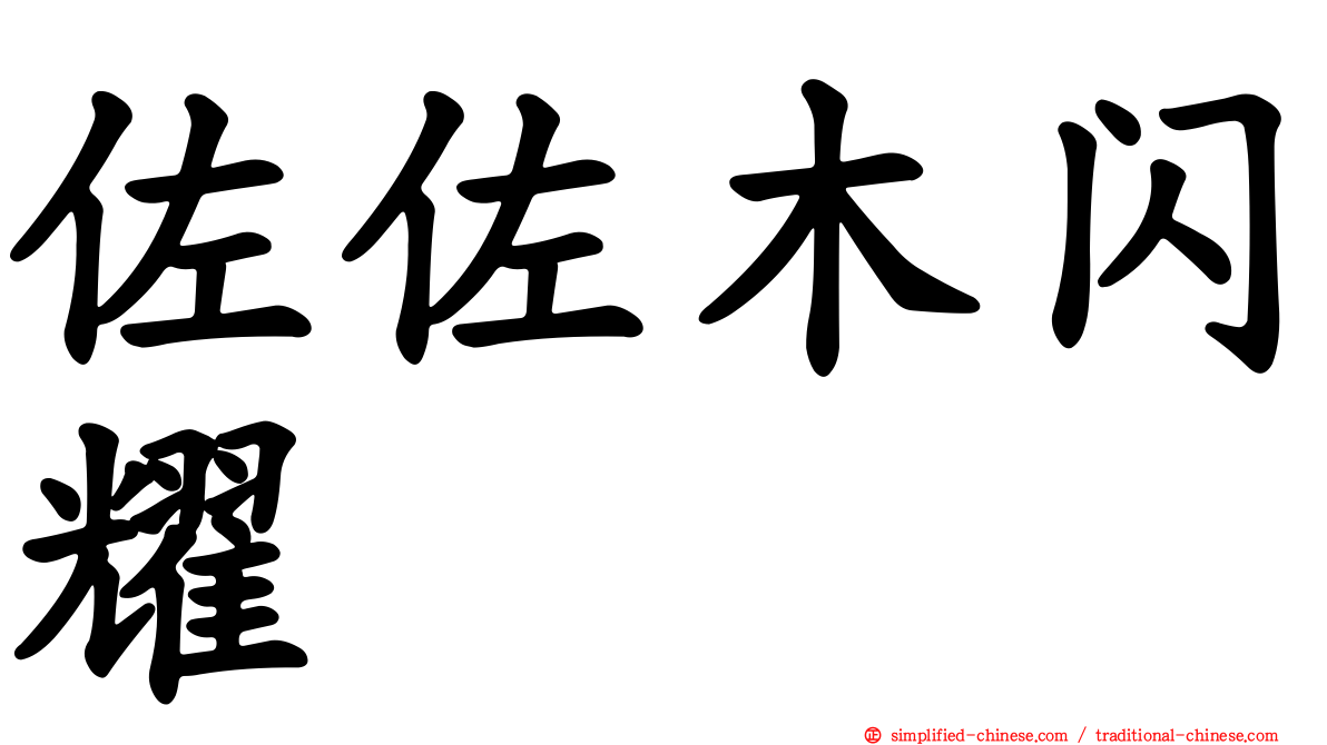 佐佐木闪耀