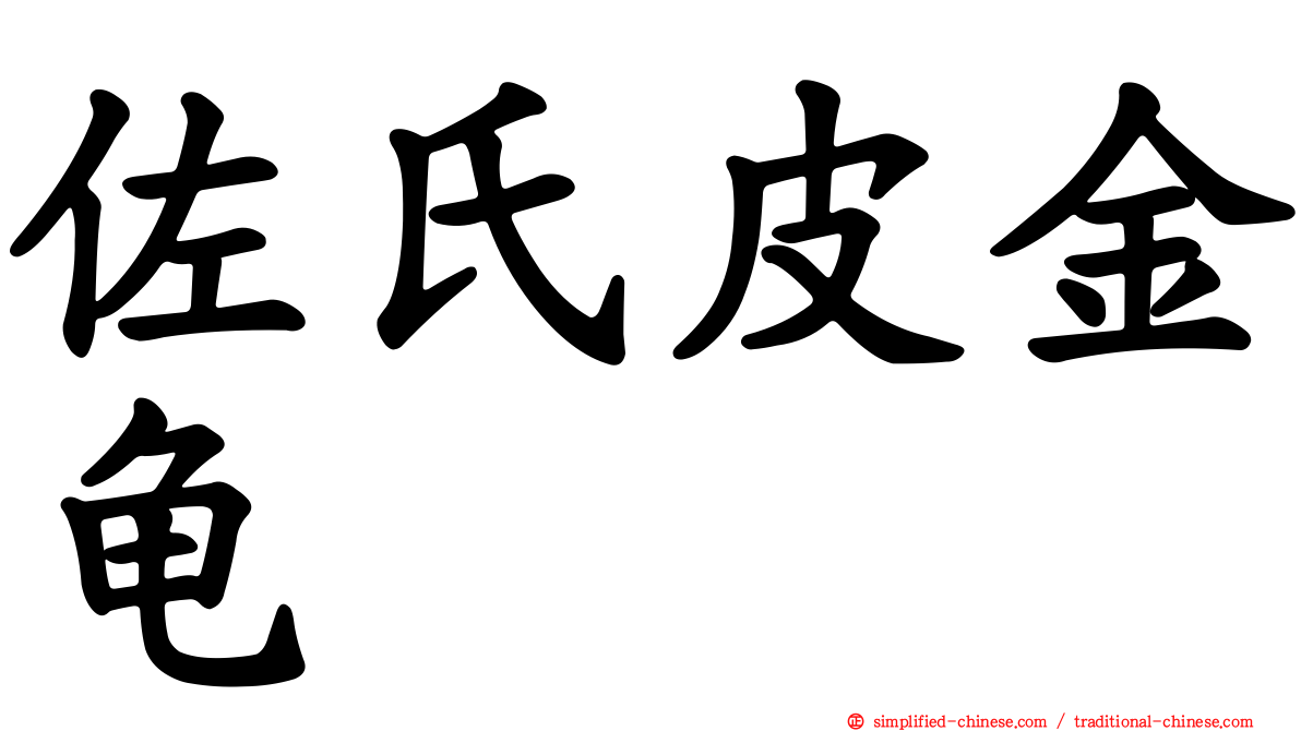 佐氏皮金龟