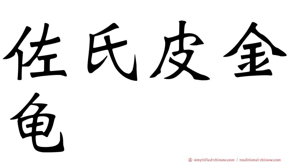 佐氏皮金龟
