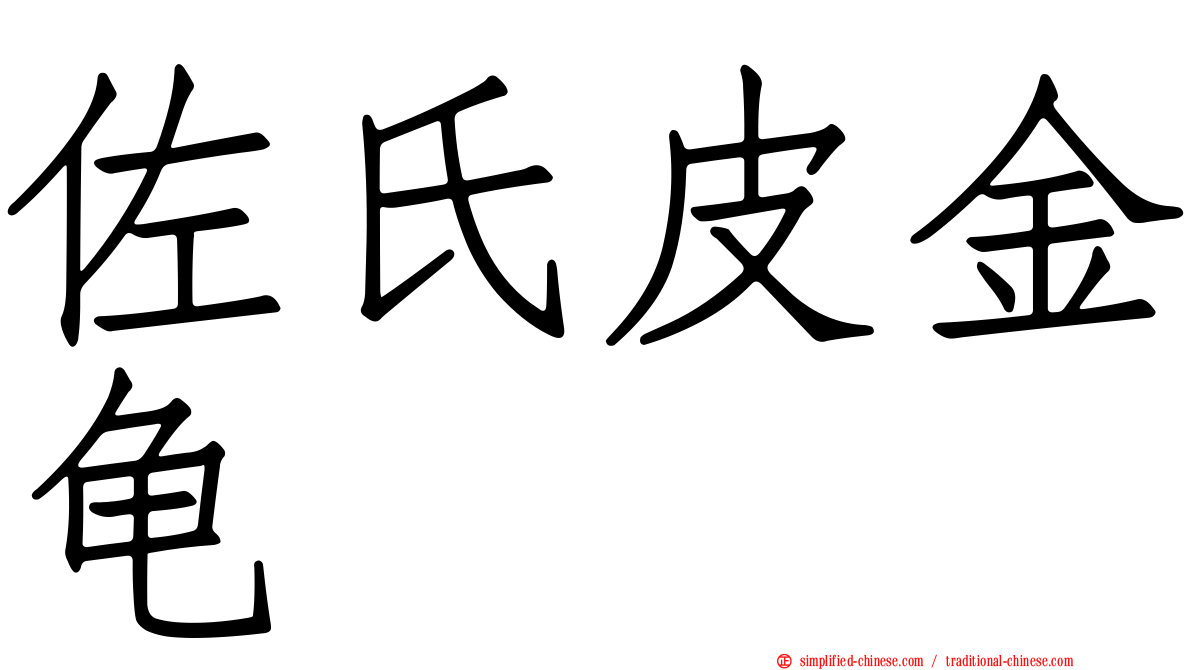 佐氏皮金龟