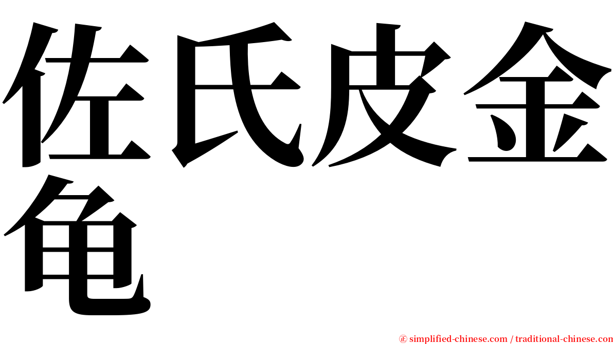 佐氏皮金龟 serif font
