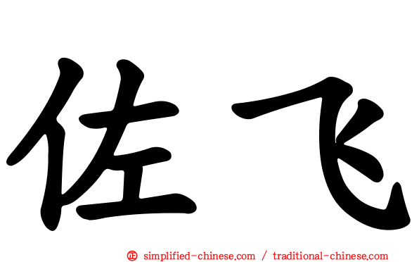 佐飞