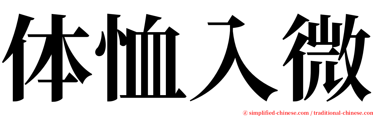 体恤入微 serif font