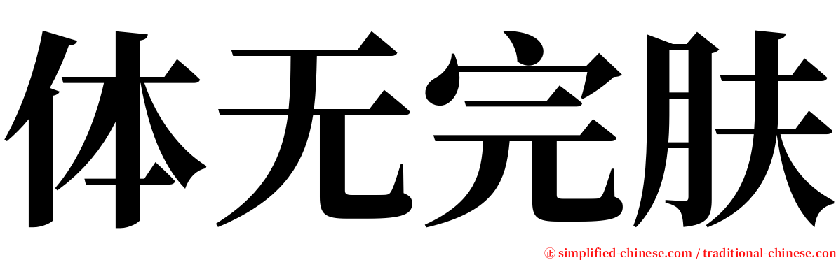 体无完肤 serif font