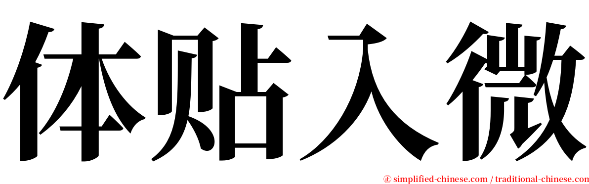 体贴入微 serif font